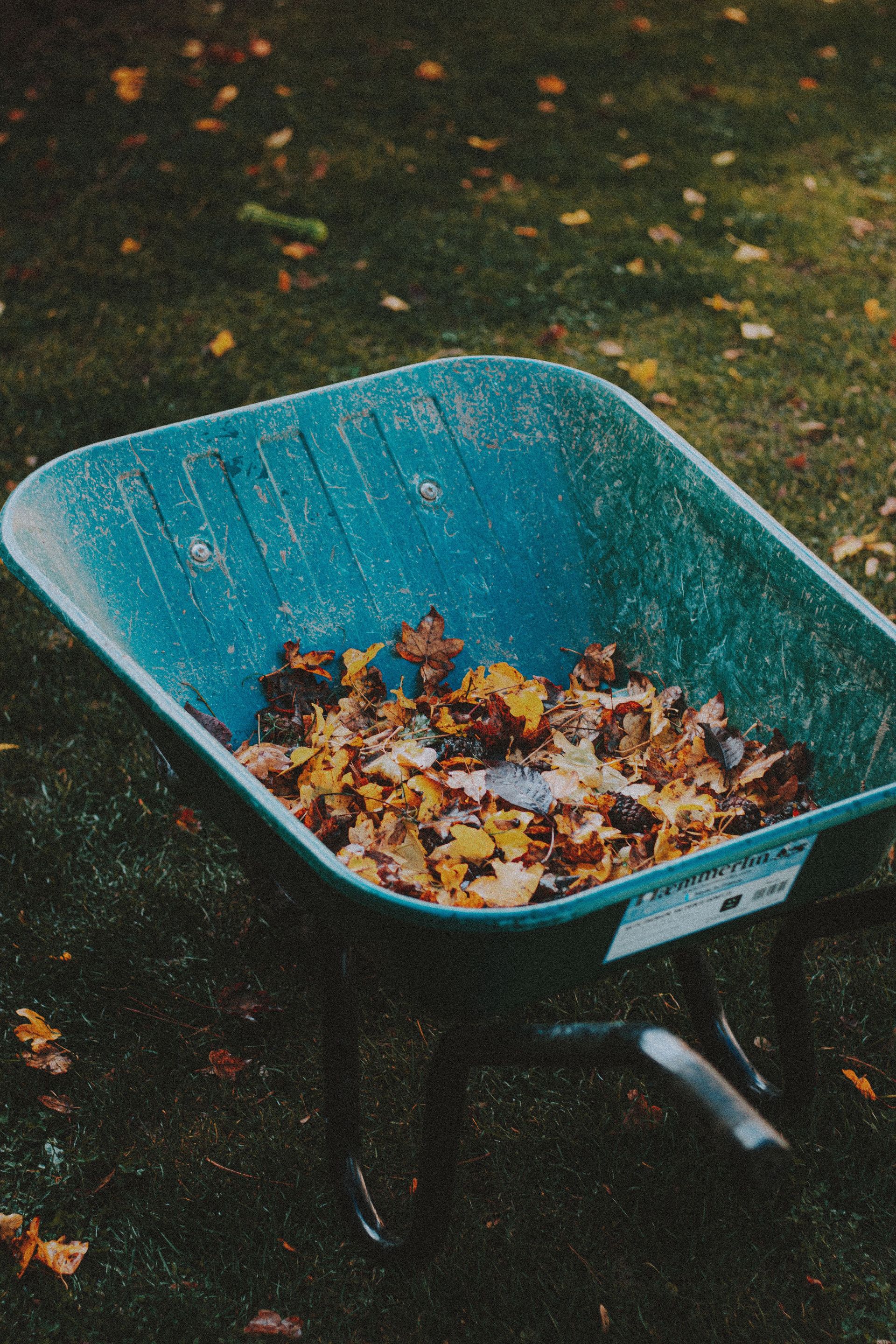 From above of garden cart with bright autumn leaves on grass meadow in daylight